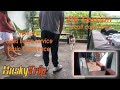 4th session Basic Obedience ( home service ) | HuskyTrip