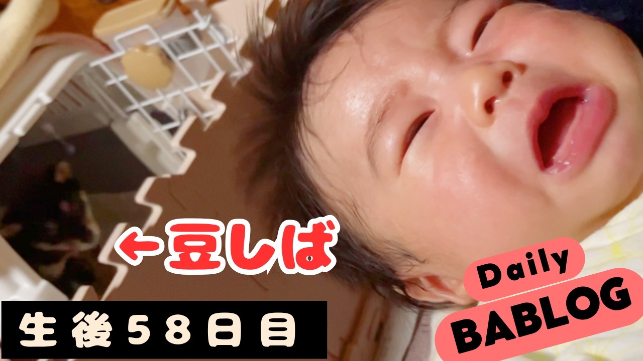 【生後58日目】泣いている赤ちゃんを心配する豆しばちゃん【乳児】A Mameshiba Puppy Worried About a Crying Baby.