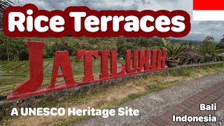 I Walked Through A Huge Rice Terrace Bali Jatiluwih Rice Terraces