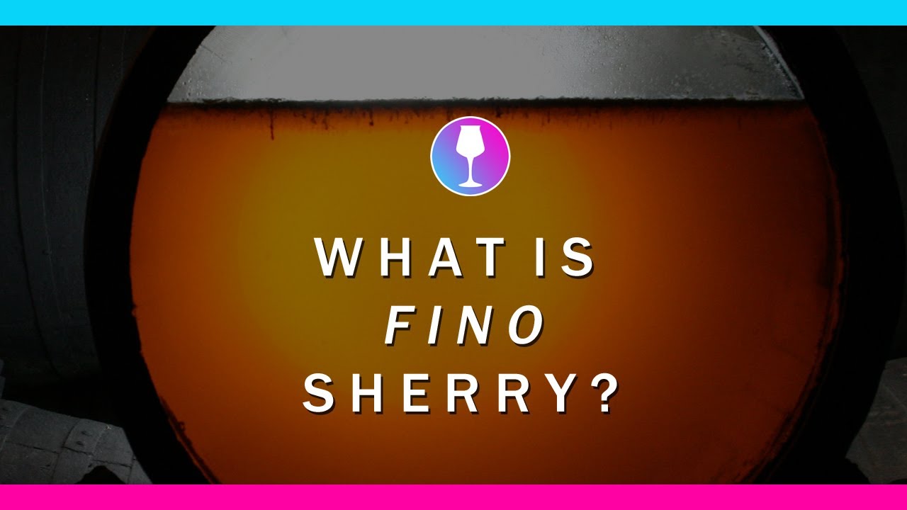 A Guide to Sherry Fino YouTube