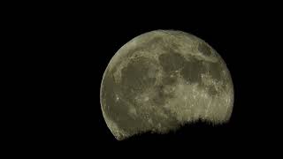 July 30, 2026 Full Moon 🌕✨In case you missed it.