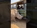 RHINO MOM STRIKES BACK! LEOPARD FLEES! #표범공격 #코뿔소분노 #야생동물충돌 #지프차공격 #사바나혼란 #공포관광객 #보호엄마 #표범대코뿔소