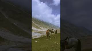 Malika parbat oxygen shortage 8july 2025 #ytshorts #travel #skardu #mountains #viral #shorts