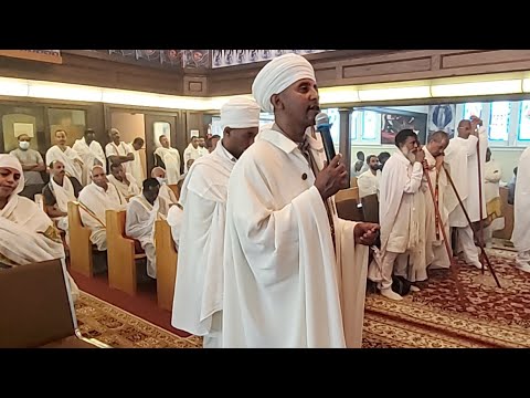 ቪዲዮ: በሀሚልተን፣ ኒውዚላንድ ውስጥ የሚደረጉ 8ቱ ዋና ነገሮች