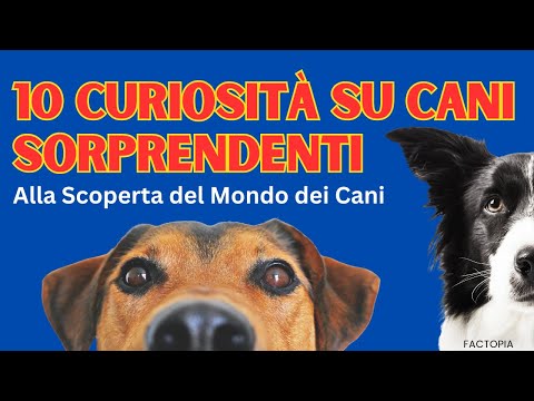10 Curiosità Sorprendenti