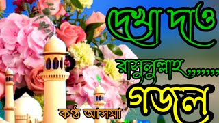 দেখা দাও রাসুলুল্লাহ,গজল,বাংলা গজল,Islamc Gojol, Gazal, Ghazal, Gahzal, Bangla song, new gojol,