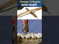 हड़प्पा संस्कृति। हड़प्पा सभ्यता हड़प्पा सभ्यता के लोग। सिन्धु घाटी सभ्यता।harappa civilization 😲
