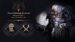 Full Grimturg Field Boss - Rank 1 on Predator News