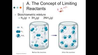 Exp 3 Limiting Reactant