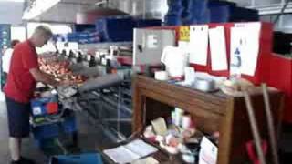 Paprika sorteermachines, Aweta G 2-6