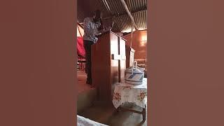 THE LAW OF SIN AND DEATH BY PST COLLINS  PAUL MUKISA