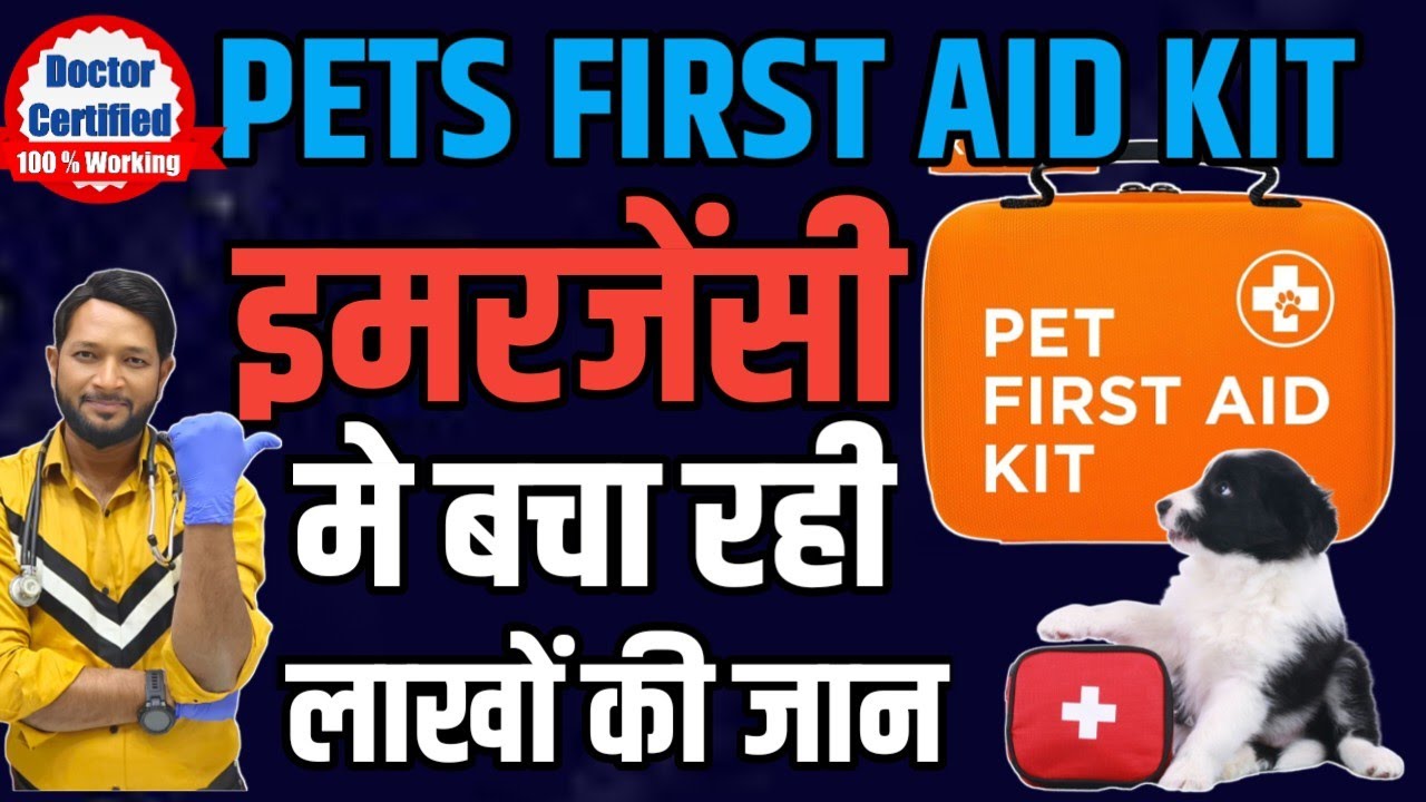 Best First Aid kit For Dogs Puppy Pets First Aid Kit How To Make