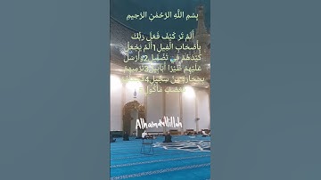 سورة الفيل يتلوها الشيخ احمد العجمي