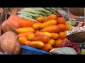 NIGERIA Sariyu Fassasi Maraîchère 40 VOSTFR NIGERIA Sariyu Fassasi Maraîchère 40 VOSTFR