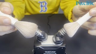 ASMR TASCAM Ultimate Brushing Video to Help You Sleep 💤