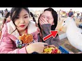 HE EATING MY KETCHUP! - Best of HAchubby! ft. Lilypichu & Pokimane