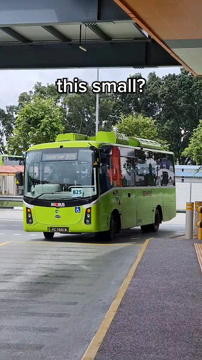 singapore's smallest bus #singapore #bus