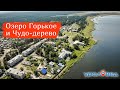 Целебное озеро Горькое и Чудо-дерево. Путешествуем по Курганской области | Ураловед