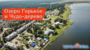 Где отдохнуть на озере в Курганской области