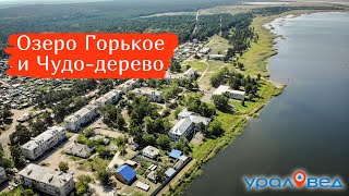 Целебное озеро Горькое и Чудо-дерево. Путешествуем по Курганской области | Ураловед