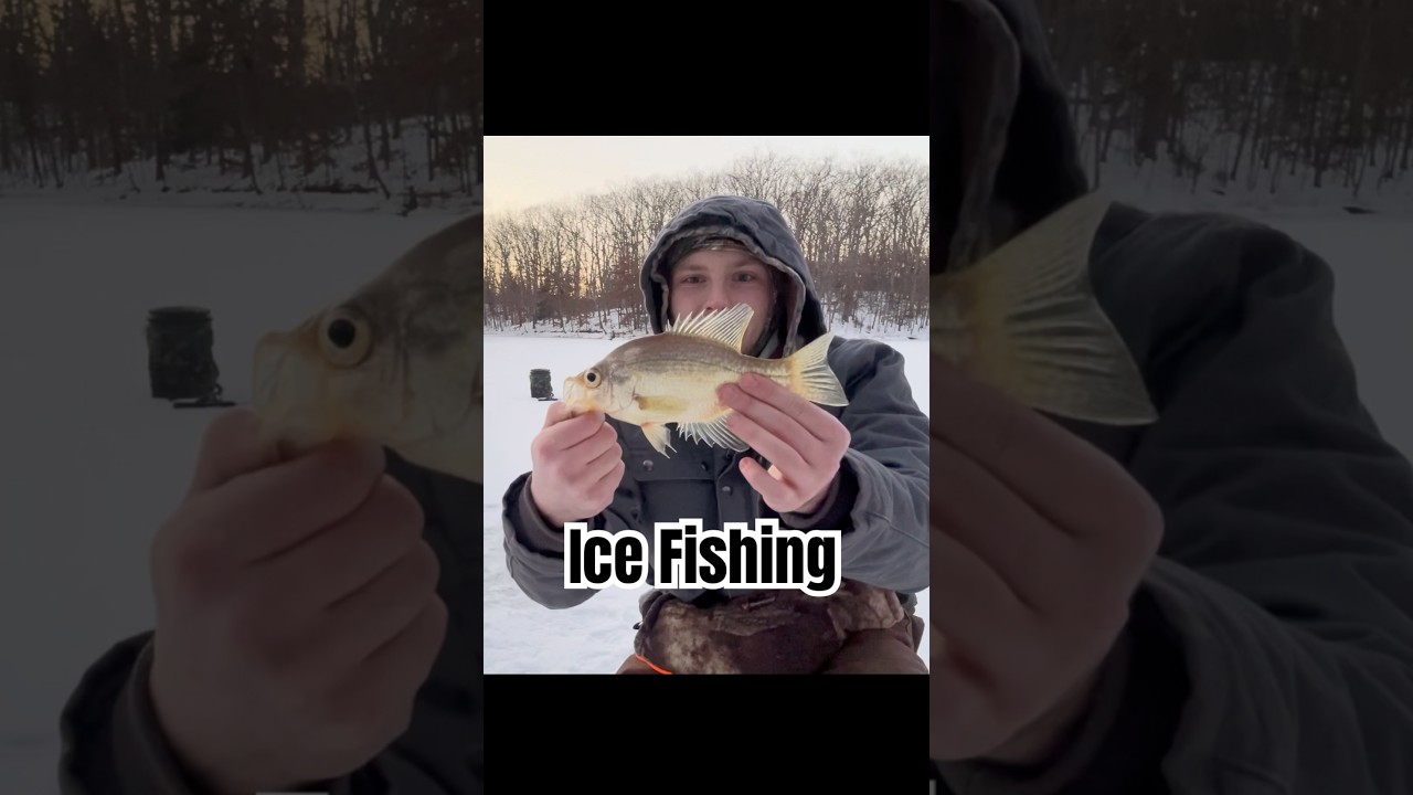 Ice Fishing For Crappie! #entertainment #fishing #icefishing #outdoors #winter #survival