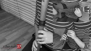 Willst Du - Cover Mit Tenor- Sopranblockflöte Und Gitarre Schandmaul Mittelalter