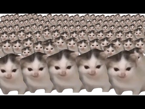 german cat x10000000