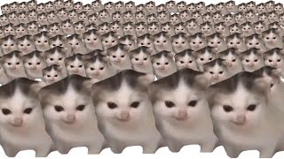 German Cat X10000000