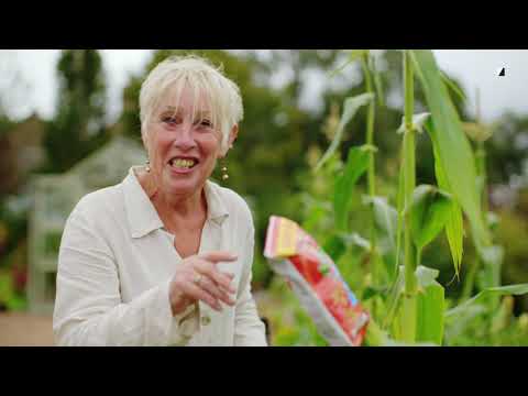 Gardening with Carol Klein 2021 - Series 3 Episode 2