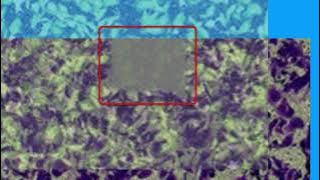 AA5472B250BD9A16AA84C98E1BC9DC#1A