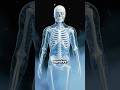 What If You Were Dipped in Liquid Nitrogen? ❄️😳 Your Body Would SHATTER! #skeleton #shorts