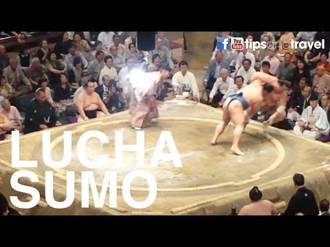 Vídeo] La rutina de los luchadores de sumo del establo de Takadagawa