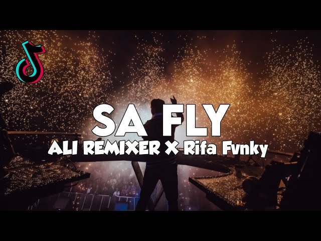 DJ SA FLY  ALI REMIXER X Rifa Fvnky  REMIX VIRAL TIKTOK FULL BASS Nwrmxx class=