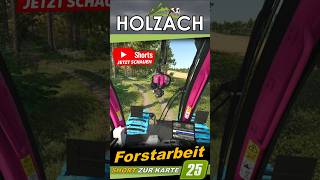 🌲 Forstarbeit in Holzach 🌲 5 🌲 #ls25 #fs25