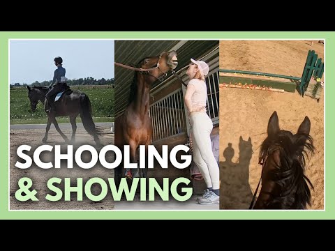 Riding Vlog - First Time Schooling & Showing with Java