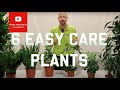 6 Easy care plants