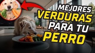 ¿Cuales Son Las Mejores VERDURAS Para NUESTROS Perros GUIA ALIMENTARIA