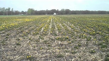 Optill Herbicide Burndown performance In Southeastern Minnesota. May 2011.wmv