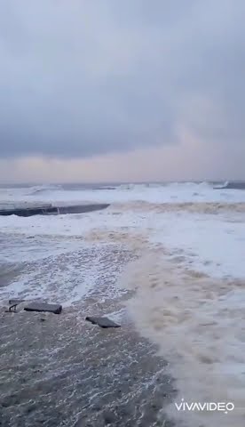 Видит, на море черная буря:Так и вздулись сердитые волны,Так и ходят ...