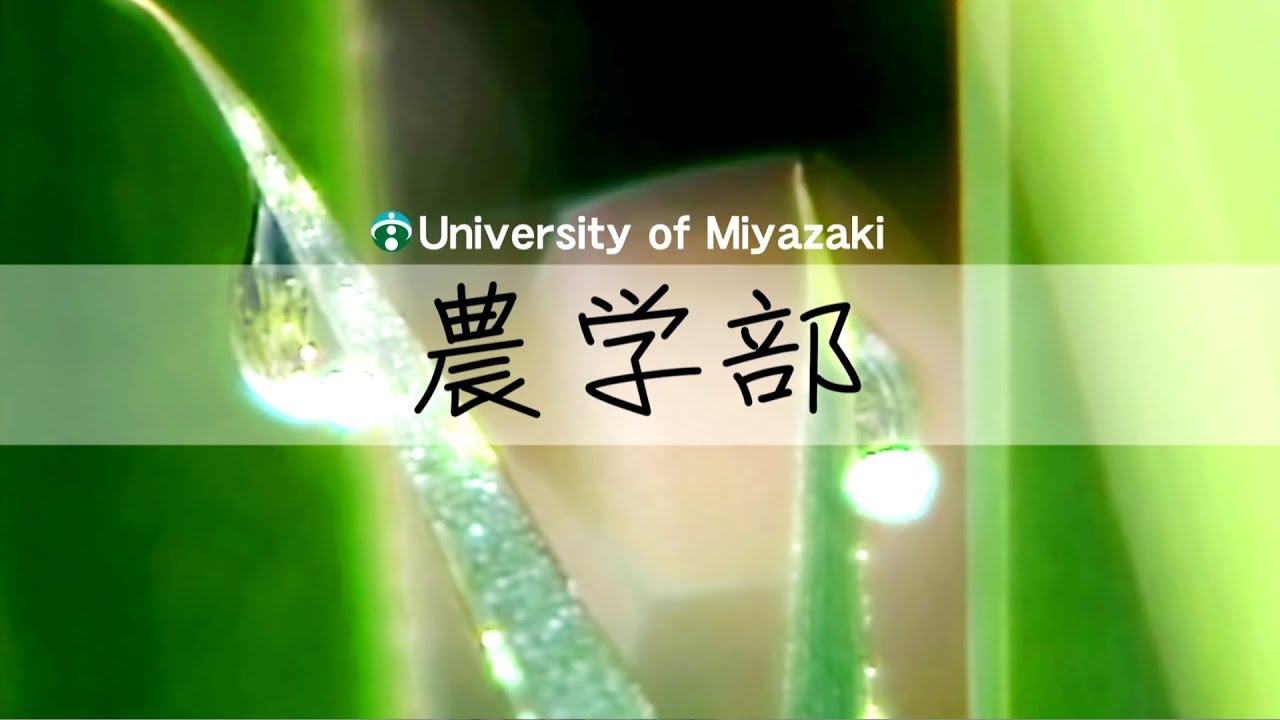 190034 宮崎大学農学部 全学科〈2019年8月改訂〉 YouTube 190034 宮崎大学農学部 全学科〈2019年8月改訂〉 YouTube