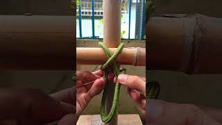 The EASIEST Way To Tie Diagonal Lashing! 🪢 #shorts #knots #diy