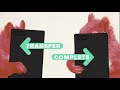 How red squirrel pelts shaped our monetary systems [Advertiser content from Zelle]