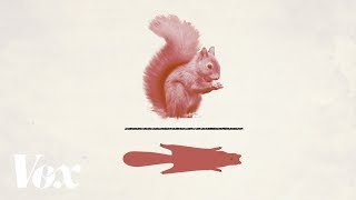 How red squirrel pelts shaped our monetary systems [Advertiser content from Zelle]