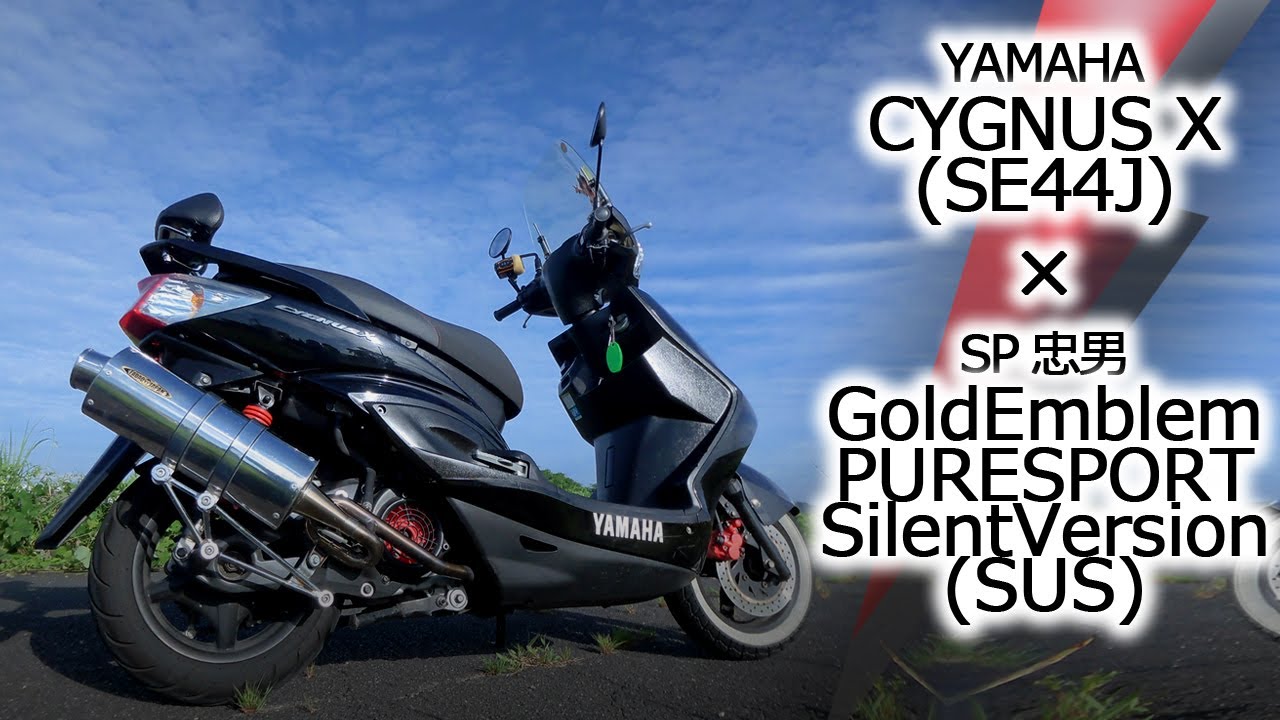 CYGNUS X】 GoldEmblem PURESPORT SilentVersion (SUS) 【SP忠男