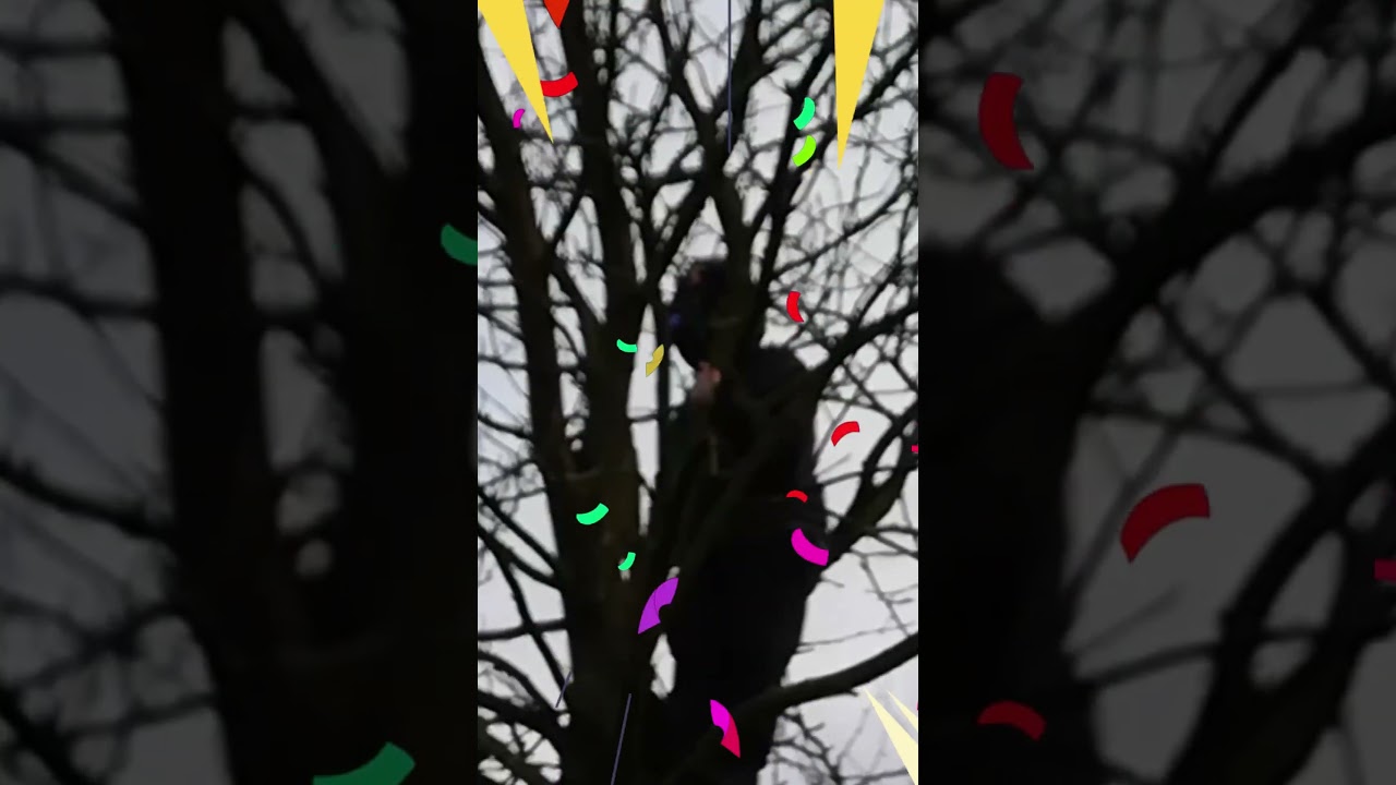 I spent 1000 seconds up a tree