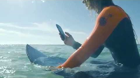 Crosscall - Action X3