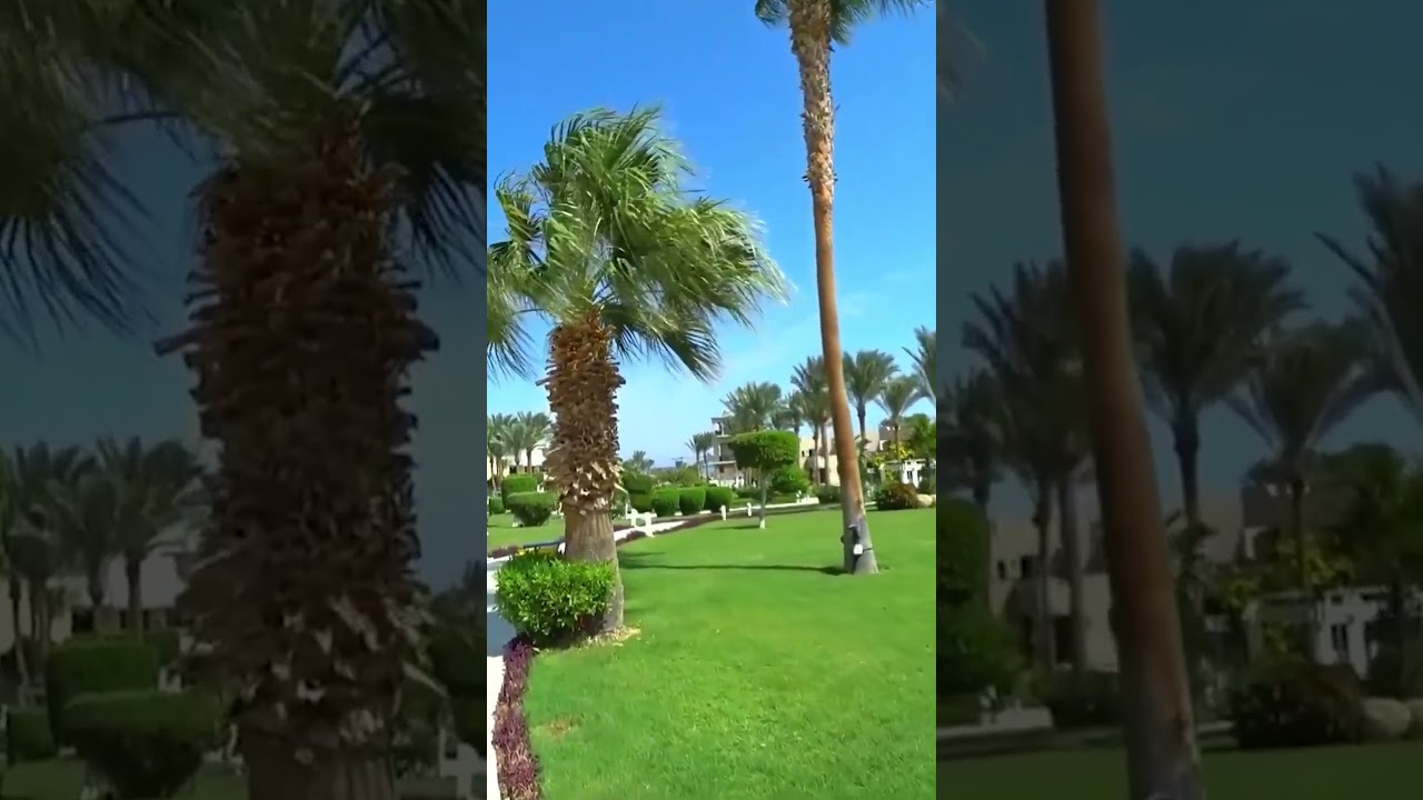 Holiday Village Red Sea в Шарм Эль Шейхе Египет