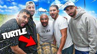 PRANKING our MOM with a 500 Pound TURTLE!