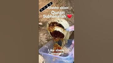 #القران_الكريم #تلاوه_خاشعه #قال رب انیی ظلمت نفسی #المصحف #اكسبلور #الشيخ محمود الشحات ہے #foryou