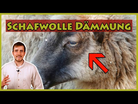 Video: Bas altwolle: Spezifikationen. Folierte Bas altwolle